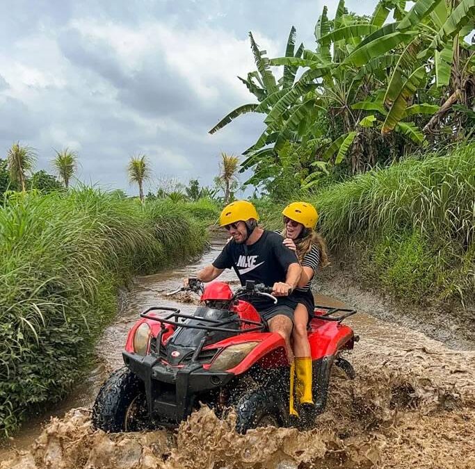 ATV  (King Adventure)