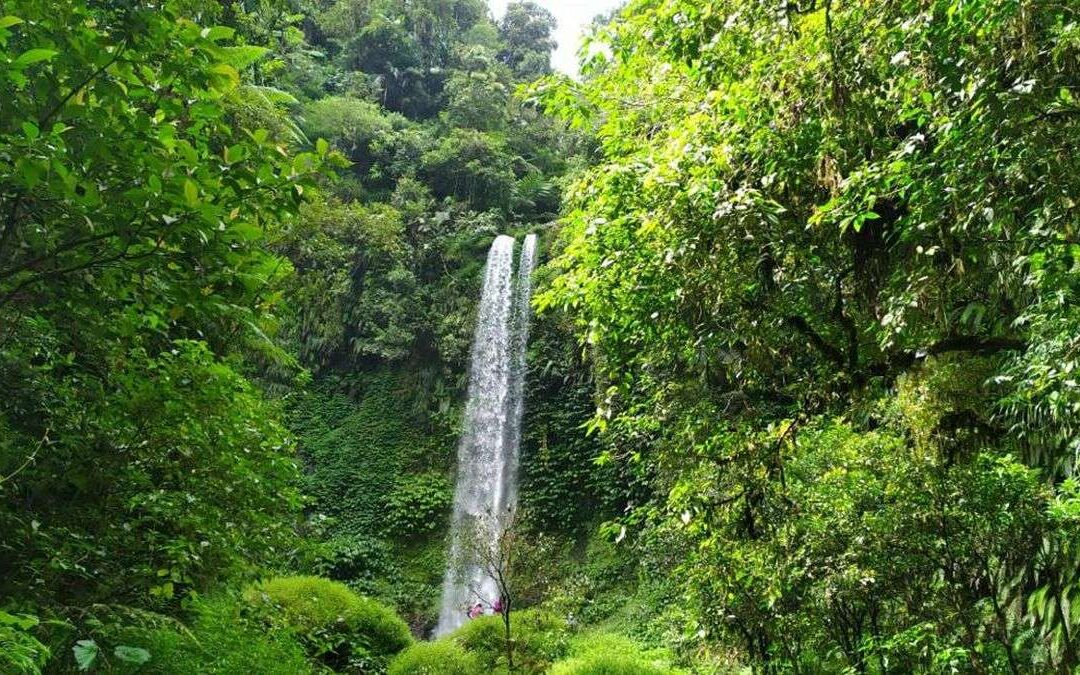 SENDANG GILE WATERFALL TOUR 